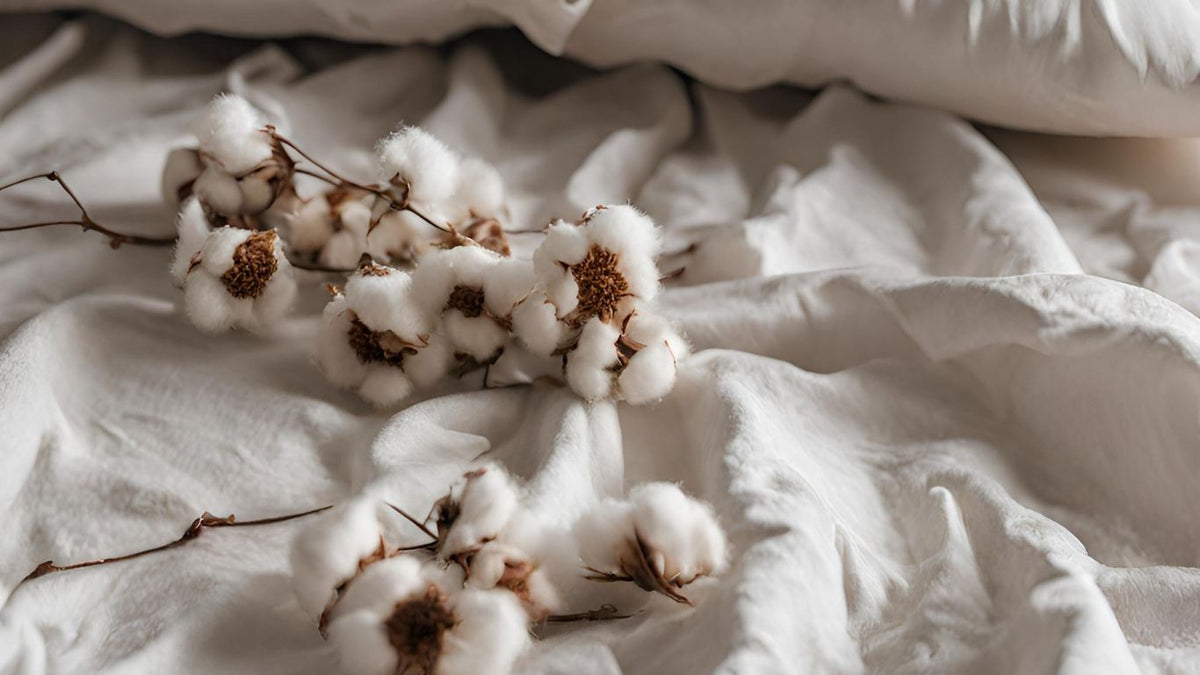 The Hype Surrounding Organic Cotton? Unravelling the truth!